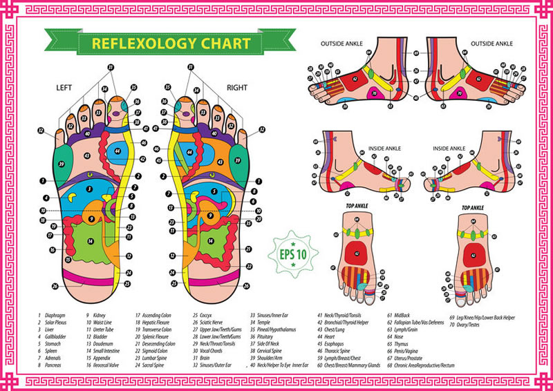 Reflexology chart